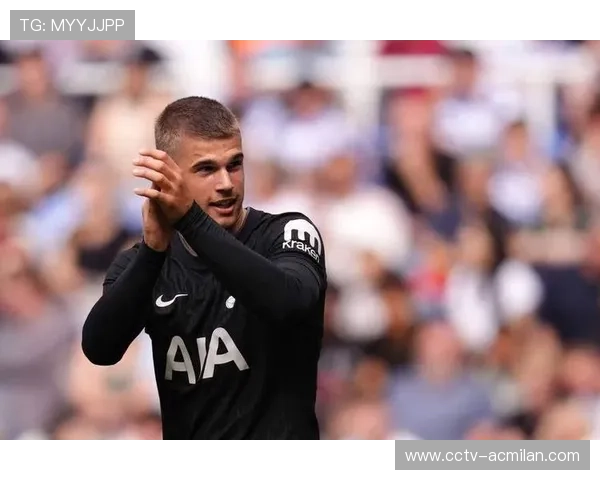 武什科维奇头球扳平瞬间,汉堡主场陷入狂欢